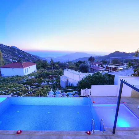 Amor * Kalkan