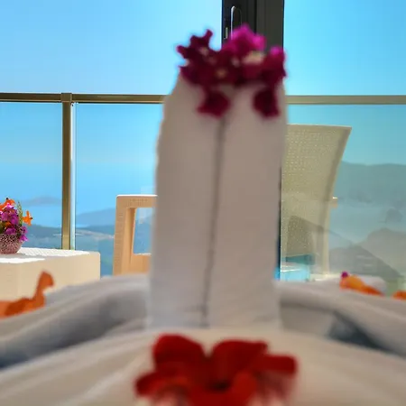 Amor Villa