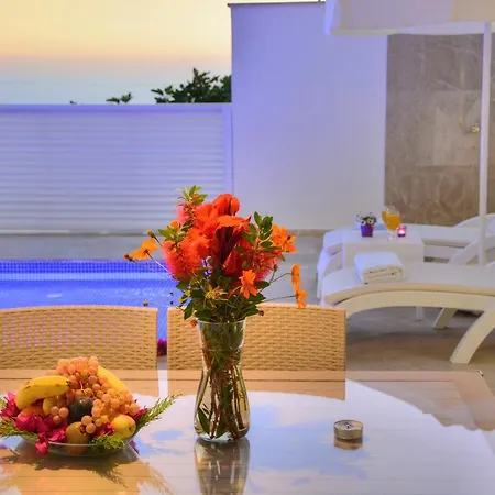 Amor Villa